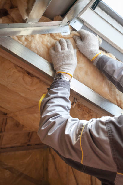 Best Affordable Insulation Services  in Olive Branch, MS